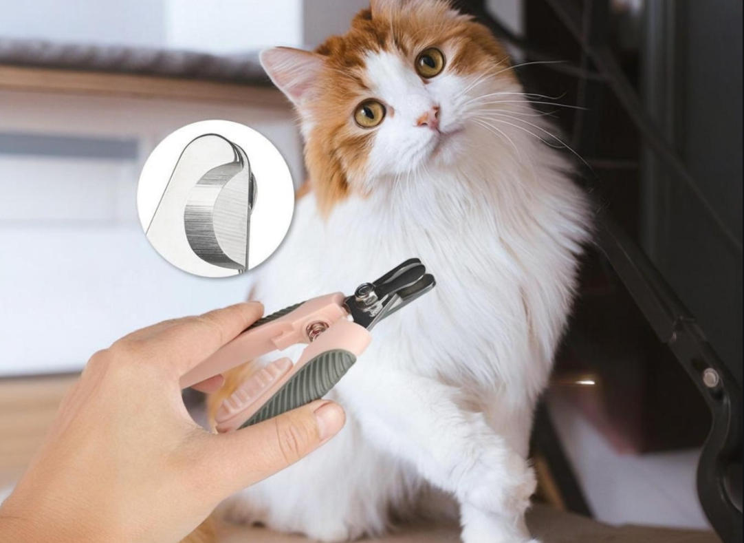Complete guide to pet nail trimming: easily bid farewell to "nail trimming anxiety"