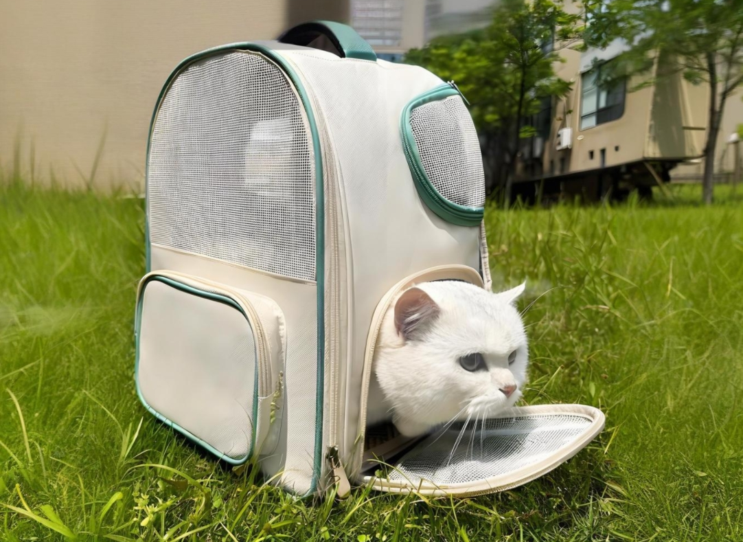 New Choice for Pet Travel: Fashionable and Portable Pet Backpack Full Analysis